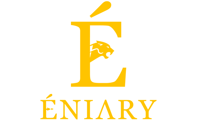 Eniary Academy